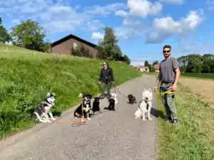 Hundepension Oberglatt im Zürcher Unterland - Bewegung für den Hund